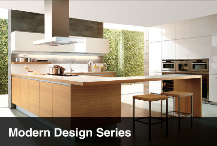 Modern Kitchen Cabinetry Design Series